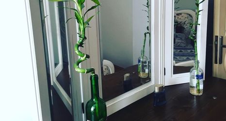 기타 2 Ali BaBa Guest Haus