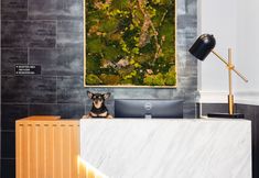 その他 3 The Modernist Hotel