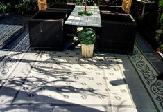 Khác 3 Cotton Tree Tranquil Gem