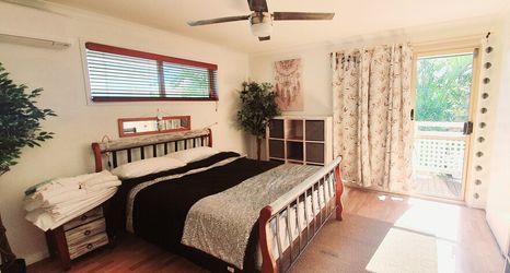 Khác 2 Cotton Tree Tranquil Gem