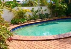 Khác 7 Cotton Tree Tranquil Gem