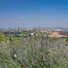 Room 1 An-f453-cbgn2at - Casale Verdicchio, Monte San Vito Villas