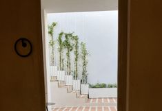 기타 4 Ethos Vegan Suites