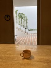 기타 4 Ethos Vegan Suites