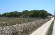 Others 4 Magical Holidays in a Dammuso in Favignana Immersed in a Wonderful Pine Forest