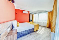 기타 6 Terra Rossa