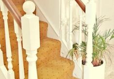 其他 7 Jessamine Guest House