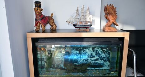 Others 2 The Pera Hotel Marmaris