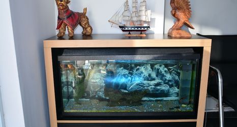 Lain-lain 2 The Pera Hotel Marmaris