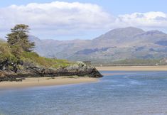 その他 7 Hyfrydle