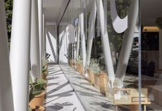 Lainnya 2 HM Palma Blanc Hotel