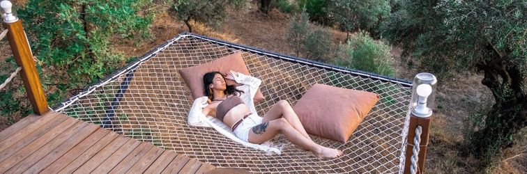 其他 Hayal Tadında