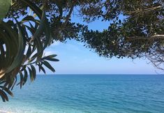 その他 2 Barby Butik Otel