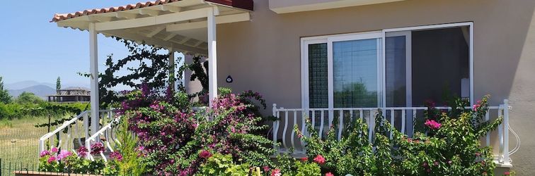 Others Welcome to Villa Oliva