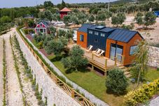 其他 Urlachi Çiftliği