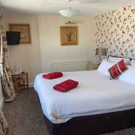 Primary image1Number 52 Bed & Breakfast,Deviock飯店