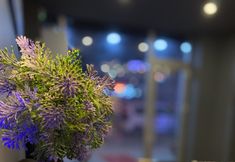 其他 4 Inalens Airport Hotel