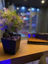 其他 4 Inalens Airport Hotel