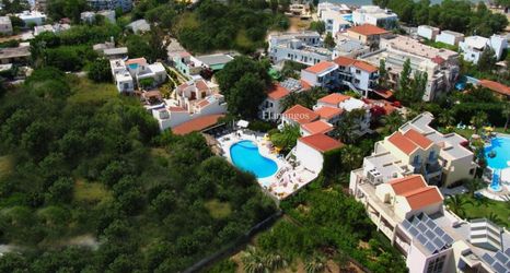 其他 2 Flamingos Hotel