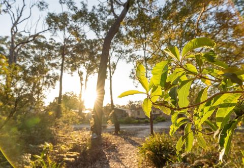 Lain-lain Tasman Holiday Parks - Myola