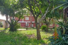 其他 Quinta das Origens