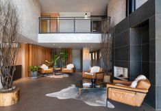 其他 3 Jangal das Araucárias Swan Design Hotel Canela