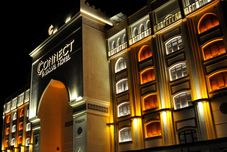 其他 Connect Thermal Hotel