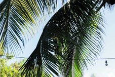 Others Pousada Estrela Cordel