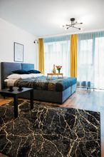 其他 4 Easy Rent Apartments - Silver 8