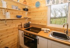 기타 4 Robins Nest