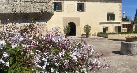 その他 2 Agroturismo Son Cardaix