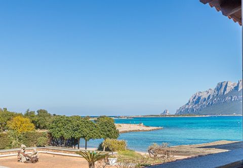 其他 Casa Azzurra 50mt From The Beach