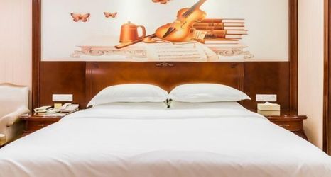 其他 2 Vienna Hotel (Gaozhou Chengdong Passenger Station)