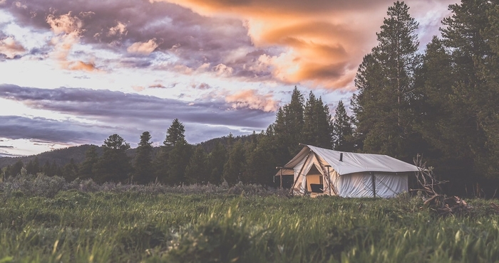 Khác Tammah - Yellowstone - Glamping