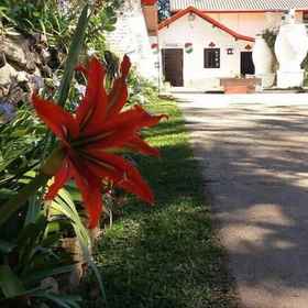 Meja sambut tetamu 1 Pousada El Brujo Montanhês, Plato Trailhead Hotels