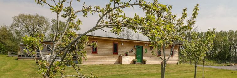 其他 Down the Rabbit Hole