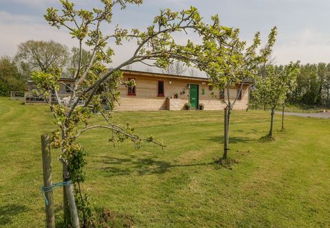 其他 Down the Rabbit Hole