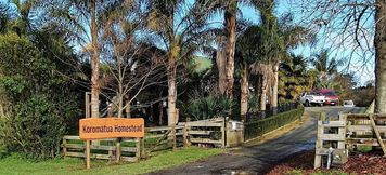 其他 6 Koromatua group