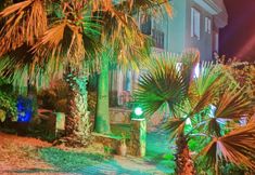 Lain-lain 7 Sirius Star