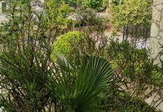 その他 3 Sirius Star