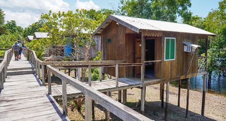 其他 2 Amazon Boto Lodge