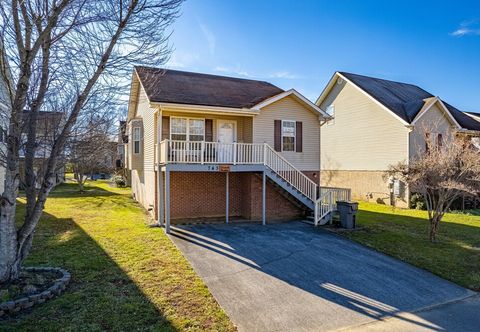 Lain-lain The Creekside Bungalow