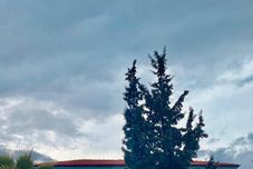 其他 Vista Garden Datca