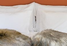 其他 2 A Casa Brava