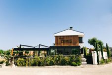 Lainnya Primus Alacati Adult Only