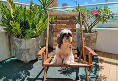 Others 6 Areias do Mar | 2 Quartos Garden Familia A113