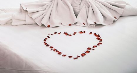 其他 2 Estrela Antônia