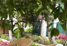 その他 3 Gayb-i Bungalows by Naturelife , Plus 12 Years Old - Free Access to Beach