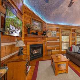 Primary image1Cozy Bears Cabin,Pigeon Forge飯店