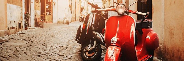 其他 Agave - Blu Sorrento